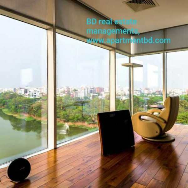 BD Real estate Management, Properties Agency; property, land, commercial space